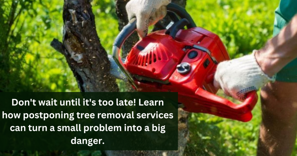 Tree Removal Services