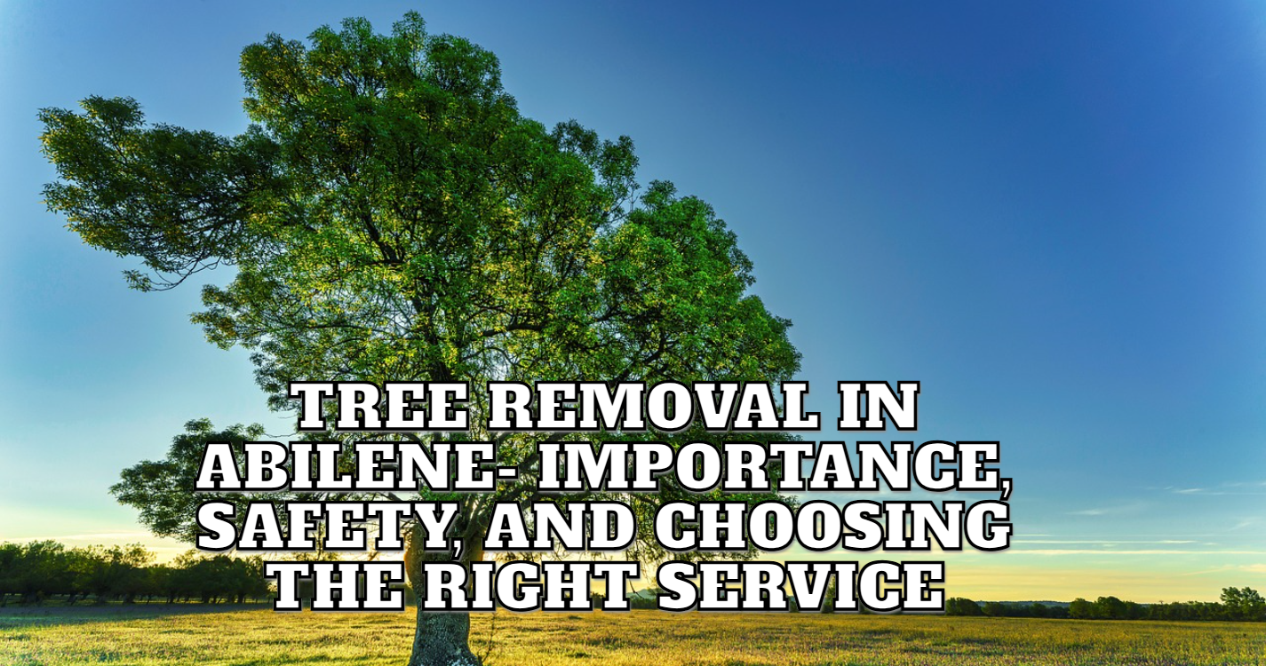 Tree Removal in Abilene- Importance, Safety, and Choosing the Right Service