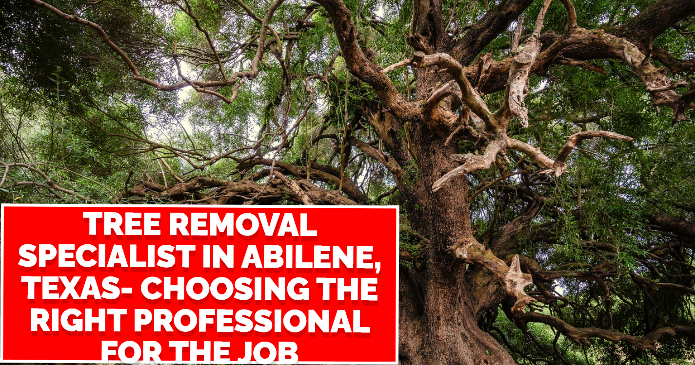 Tree Removal Specialist in Abilene, Texas: Choosing the Right Professional for the Job